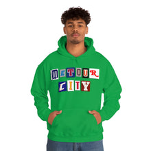 Load image into Gallery viewer, Detour City - Hooded Sweatshirt